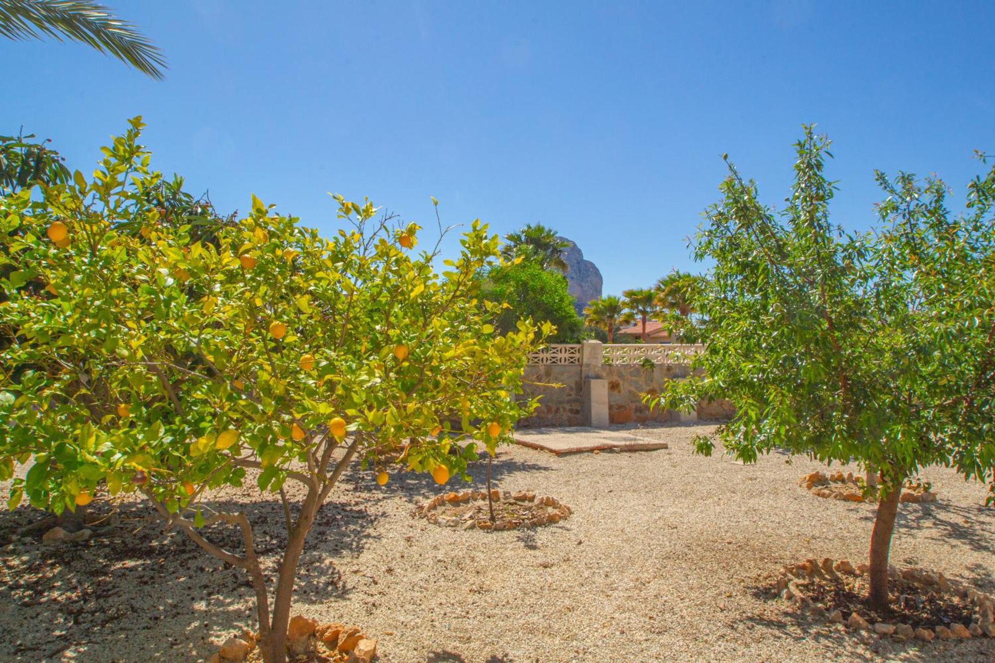 Cohete - Plusholidays Villa Calpe